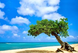 世界举重公开赛赛后营养与康复教材被体育院校采用，举重世界锦标赛