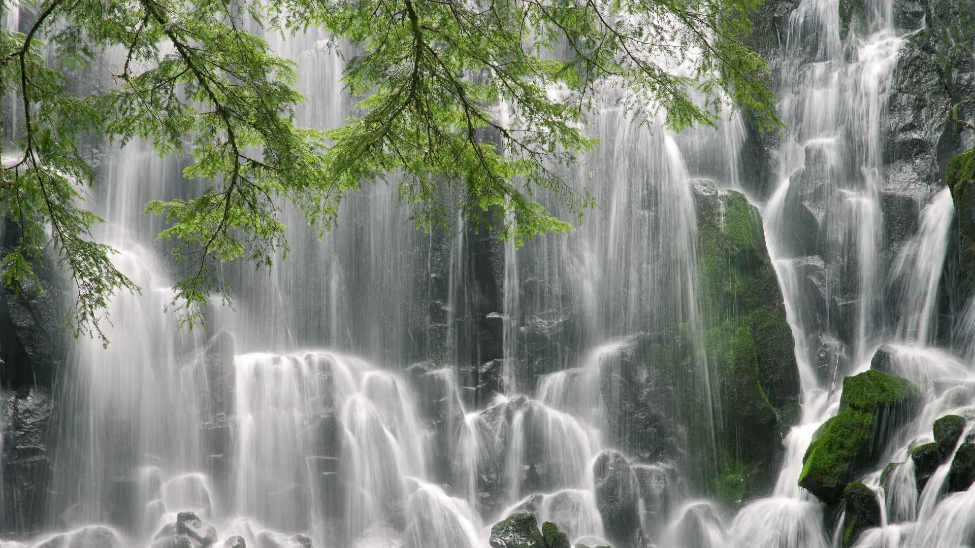 世界游泳锦标赛场馆志愿者服务评价体系出台，游泳比赛志愿者活动内容